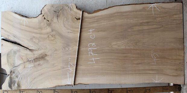 Ash1-310x620